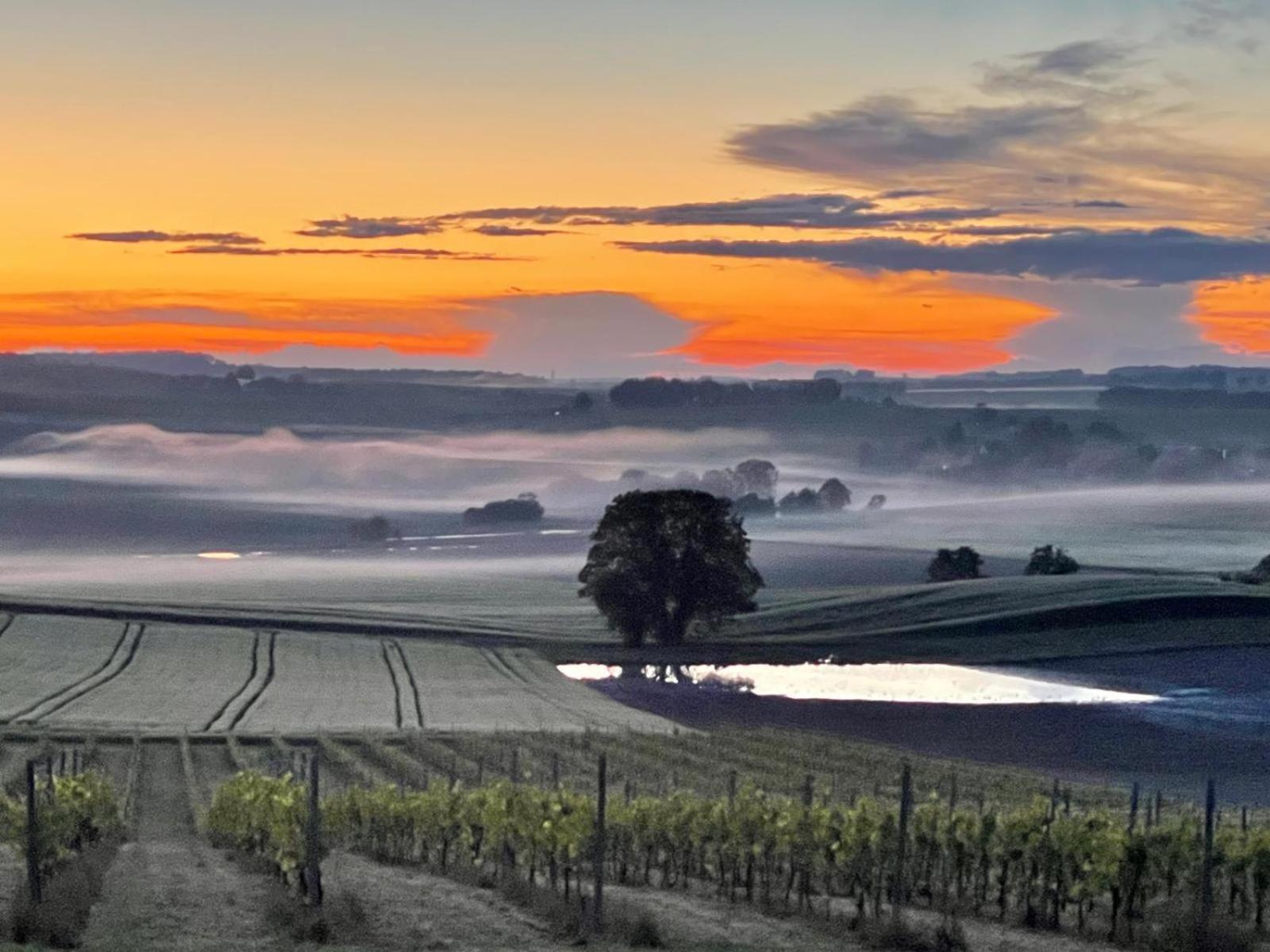 Paradis Des Vignes Birac  Quarto foto